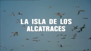 The Island of the Gannets