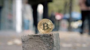 Are Cryptocurrencies the Future?