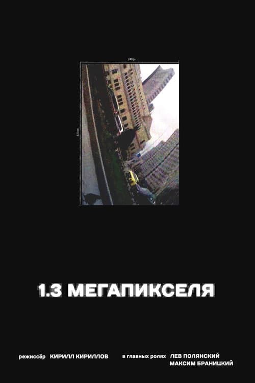 1.3 мегапикселя